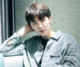 刘宇宁身世爆料了吗视频,视频爆料背后的惊人真相